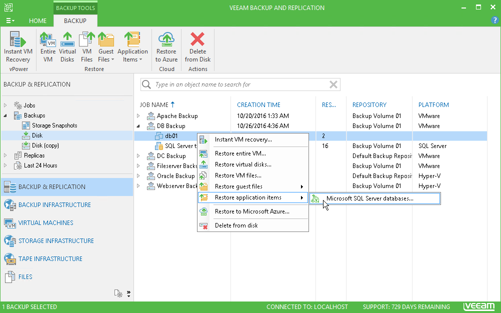 Sie können Backups von virtualisierten Microsoft SQL-Servern und Microsoft SQL Server-Transaktionsprotokollen erstellen.